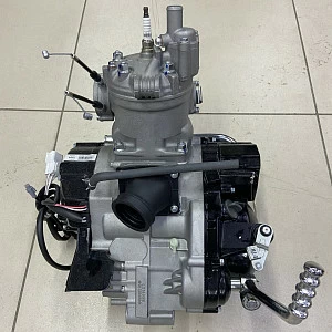 Двигатель в сборе Lanza mt-250 (DT230) 2T LONCIN