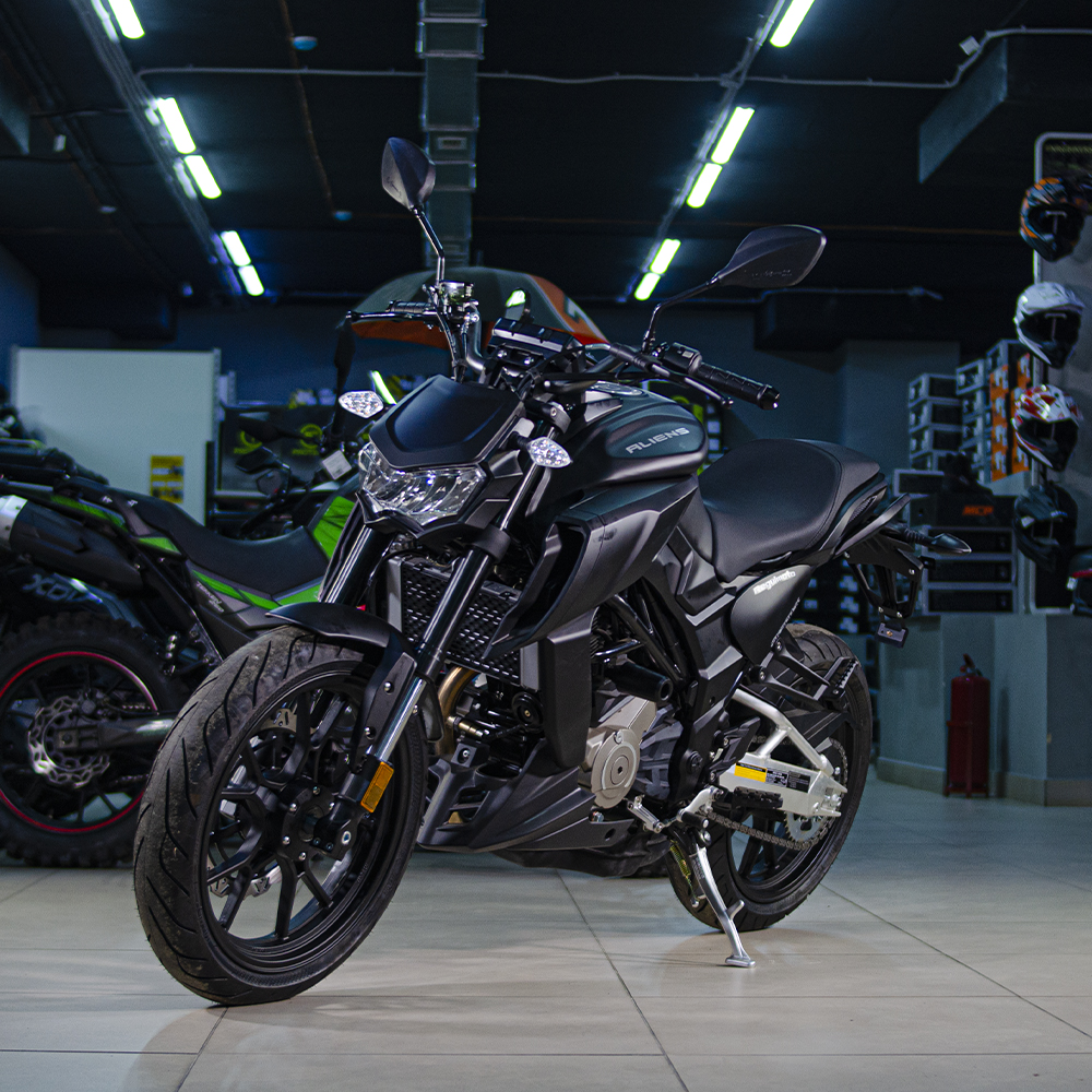 Мотоцикл Regulmoto ALIEN MONSTER 300 (Черный, , 100012-3)