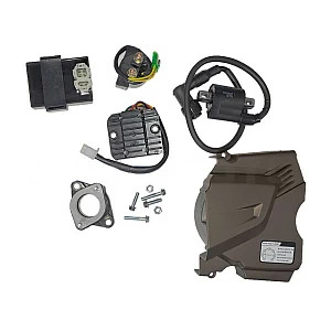 Двигатель ZS172FMM-5 PR (175FMN), 300cc, big bore 75мм, 6 передач, с баланс валом без кикстартера