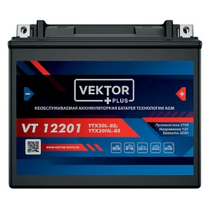 Аккумуляторная батарея VEKTOR PLUS VT 12201